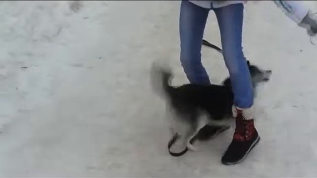 Часть тренировки на улице. смотреть онлайн
