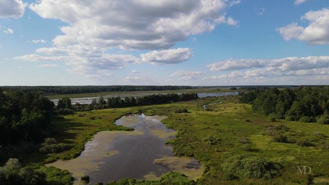 Дмитровский Погост смотреть онлайн