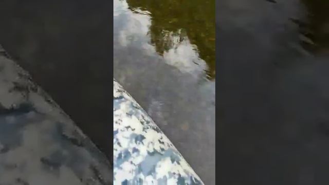 #хатанга тест Сузуки смотреть онлайн