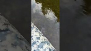 #хатанга тест Сузуки