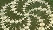 Etudions Les Crop Circles # 1_partie_1
