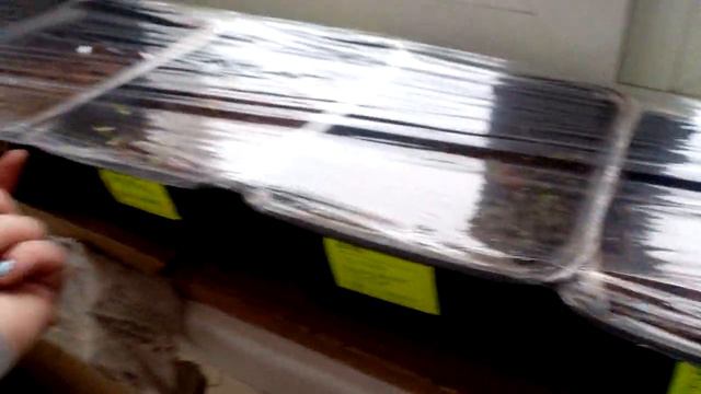 первые всходы петунии и гвоздики смотреть онлайн