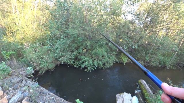 В ТАЙГУ НА РЫБАЛКУ! Приехали на избу,но ночевали на улице.Егеря делают свою работу.Ловим,жарим рыбу смотреть онлайн