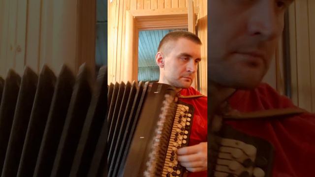 ВИА Пламя - Снег кружится (cover на баяне) смотреть онлайн