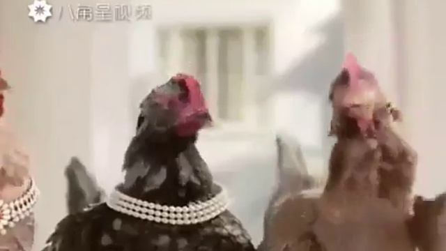 Куткуда смотреть онлайн