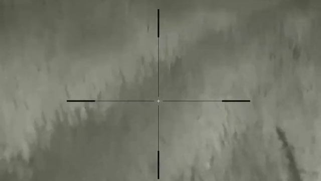 Infiray Rico RL42 liška 05082022 смотреть онлайн