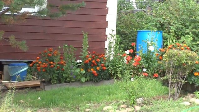 участок 2017 год/Дача смотреть онлайн