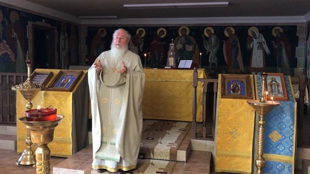 Грех и последствия греха. Ко дню памяти св. великомученика Димитрия Солунского. 8.11.2020 г. смотреть онлайн