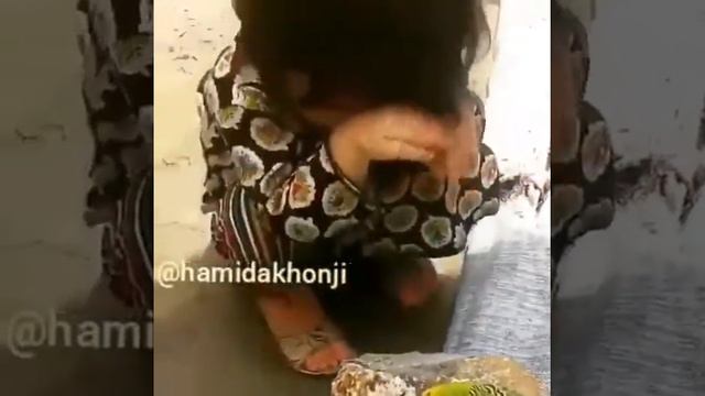 Гирйаи кудак барои паранда смотреть онлайн