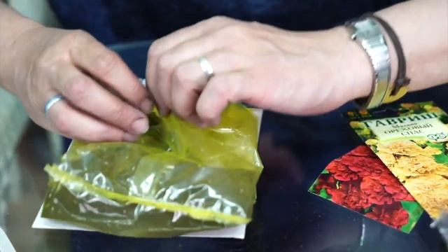 Неприхотливые цветы для сада ? Мальва или шток роза ? Обзор HITSAD TV смотреть онлайн