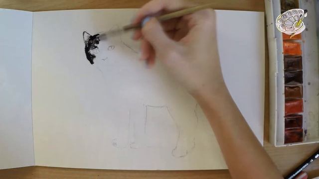 Техника рисования акварелью по мокрому. Видео поэтапного рисования акварелью для начинающих смотреть онлайн