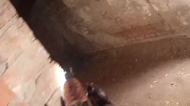 БЕГИ СТРЕЛЯЙ!? AIRSOFT [страйкбол] ПОСМОТРИ! смотреть онлайн