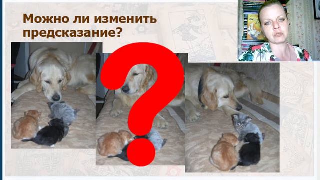 Таро. Пространство вариантов. День 3. Мифы таро смотреть онлайн