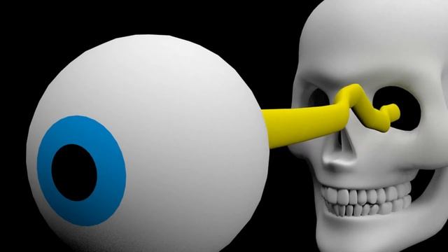 Зрительный нерв | Путь к мозгу (cхематично) | Medanatfarm смотреть онлайн