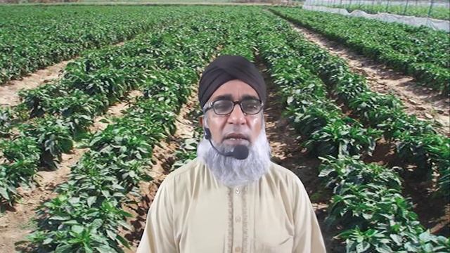 Safe use of Dual gold in Vegetables | Crop Reformer смотреть онлайн