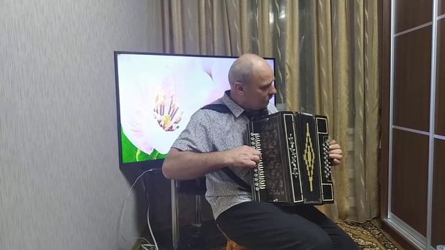 Володимир Щербаков на гармоні -ой гілля смотреть онлайн