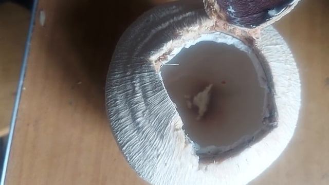 сделал новую кокосовую воду😀. с помощу старого кокоса. неотлечишь от оригинала смотреть онлайн