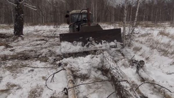 ДТ-75 сила, особенно в умелых руках! Вывоз дров из лесу на гусеничном тракторе...