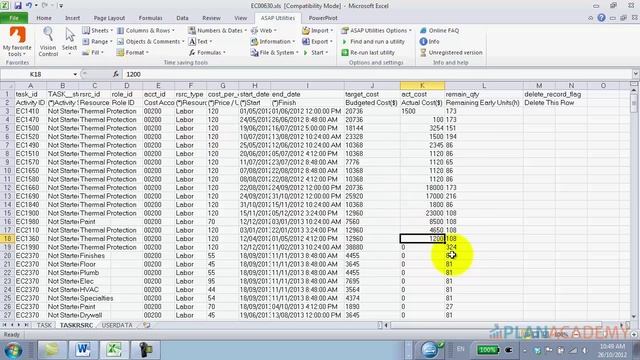 Solve Primavera P6 Import From Excel Problems смотреть онлайн