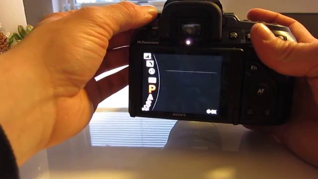 Sony A550 Preview