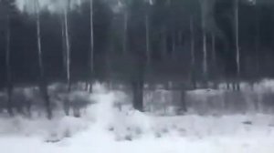 Сергей Наговицын   До свиданья, кореша!  по мотивам песен Сергея Наговицына