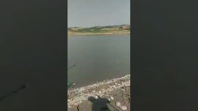 балки ови смотреть онлайн