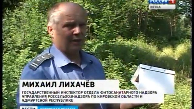Сибирский шелкопряд (ГТРК Вятка) смотреть онлайн