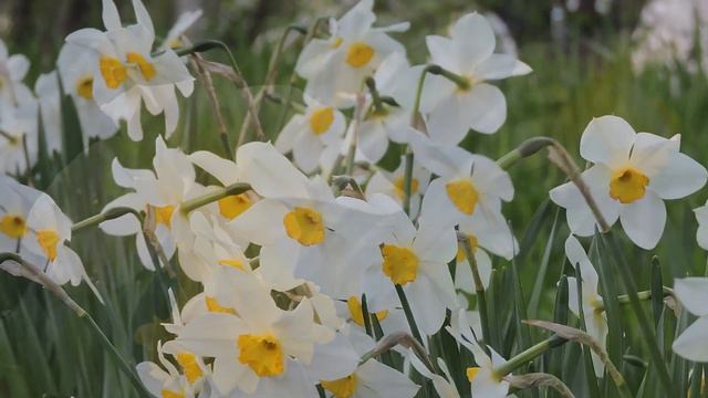 Холодный апрельский вечер в Новопятигорске смотреть онлайн
