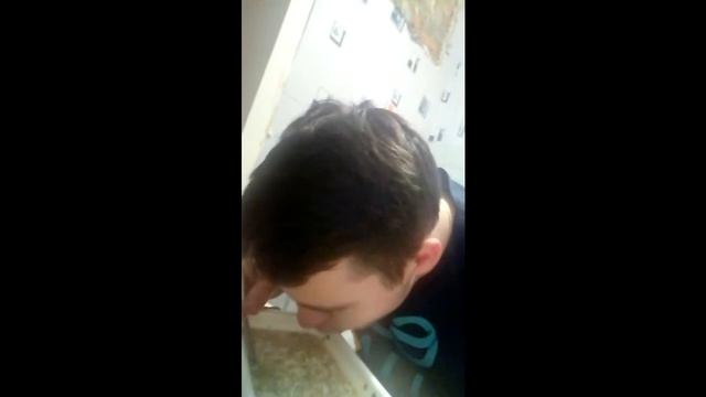 Не реклама ролтона Обзор на БИГ БОН смотреть онлайн