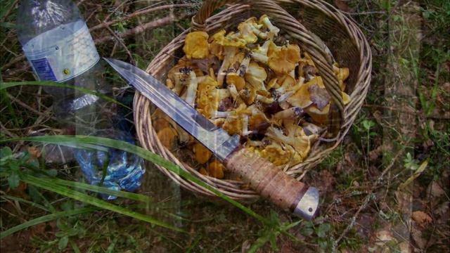 Мальчик нашел в лесу старую брошенную машину. Заглянув вовнутрь он закричал! смотреть онлайн