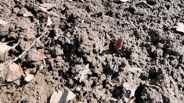 Откачка воды из колодца, по весне... Как мы это делаем? ВЛОГ смотреть онлайн