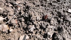 Откачка воды из колодца, по весне... Как мы это делаем? ВЛОГ