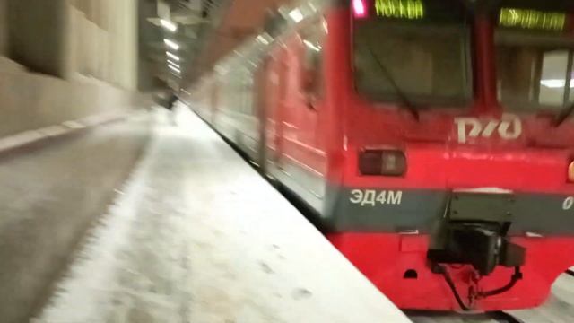 Электропоезд! ЭД4М 0181 с сообщением Москва Куровская на станции Выхино смотреть онлайн