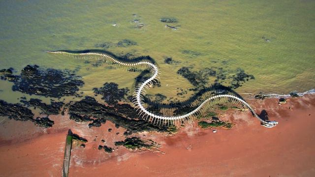 Giant Snake Skeleton - Serpent d'ocean by Huang Yong Ping | France | 4K Drone смотреть онлайн