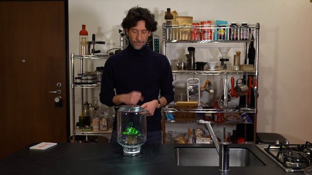 Cos'è la pianta del caffè? смотреть онлайн