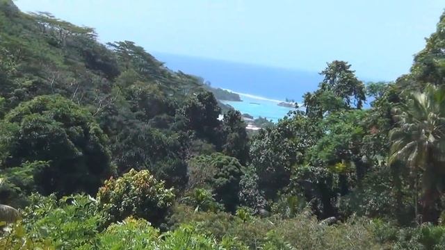 Сейшелы. Плантация специй. Виктория. Seychelles. Spice plantation. Victoria. смотреть онлайн