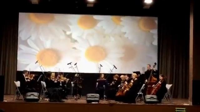 Струнный оркестр - "Вальс" И.Штраус смотреть онлайн