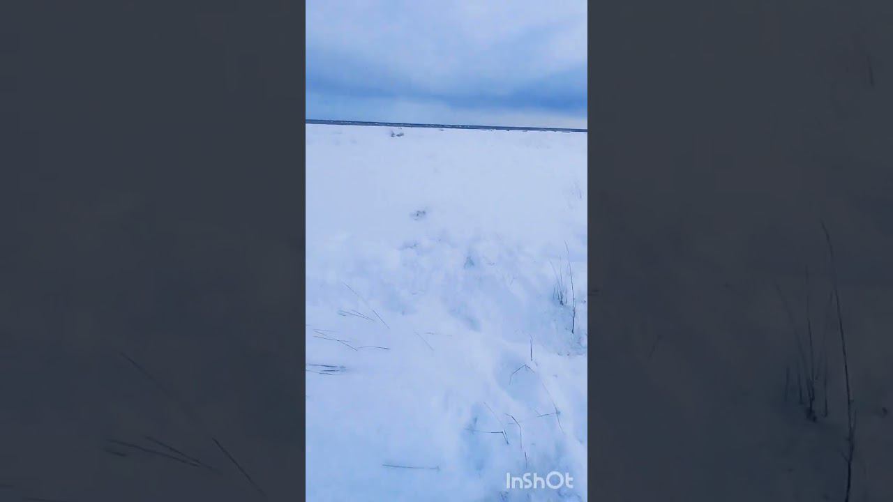 чем круче джип тем дальше идти за трактором смотреть онлайн