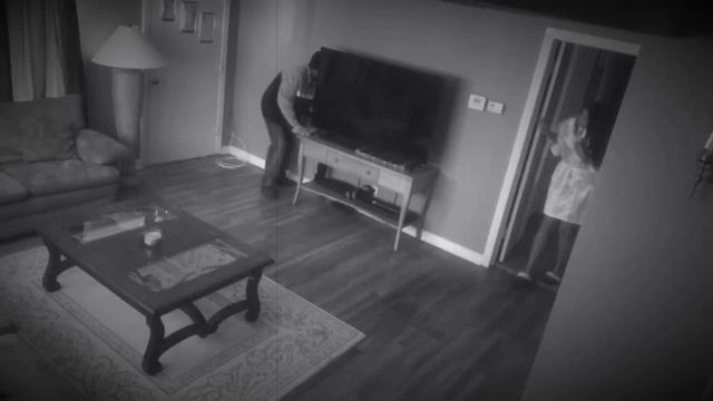 PITBULL PROTECTS OWNER FROM INTRUDER! смотреть онлайн