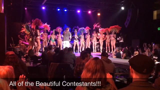 Alina Mateo - 2019 Musa Do Samba! смотреть онлайн