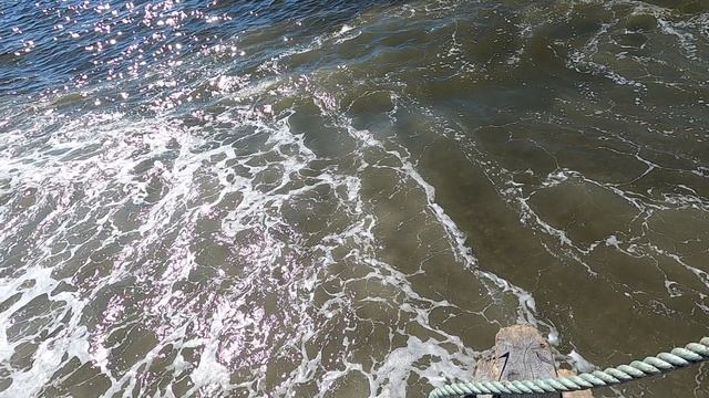 Жизнь в гармонии с природой