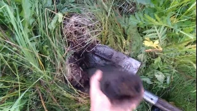 КОП-ПОИСК МЕТАЛЛА-ЧЕРМЕТА ВДОЛЬ ПОЛЕЙ с металлоискателем 9 июня смотреть онлайн