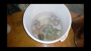Как отбелить коралл?