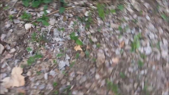 2-Múrgulas Colmenillas Primavera 2023 смотреть онлайн