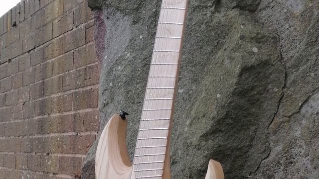 Cobalt Guitars - 'Nightingale' Custom 7-String Guitar смотреть онлайн