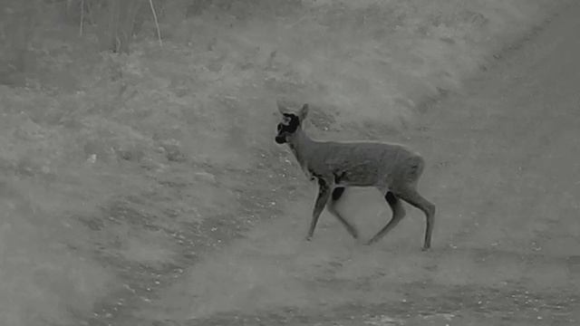 Thermtec Cyclops 650 смотреть онлайн