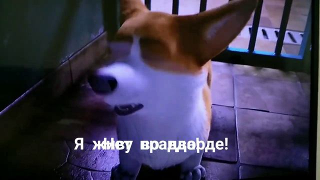 момент из мцльтфильма королевский корги смотреть онлайн