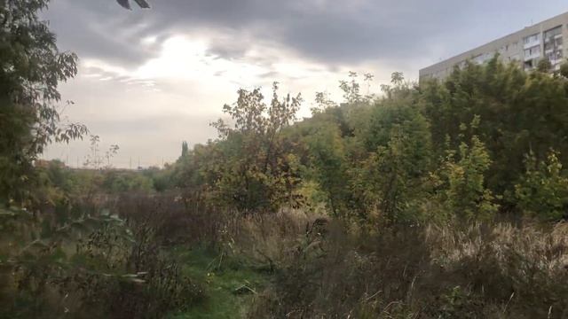 В Саратове. Через Глебучев овраг смотреть онлайн