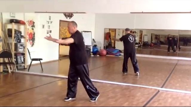 Техническая съемка. 22 шаг формы чень тайцзи-цюань. Www.taichi-spb.ru