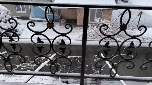 Зима в Алматы не отступает. Навалило снега. Морозец. смотреть онлайн